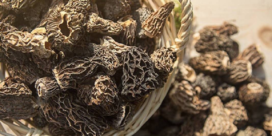 ‘Doğanın altını’ yok satıyor: Üretici hasattan sonra talebe yetişemiyor 2